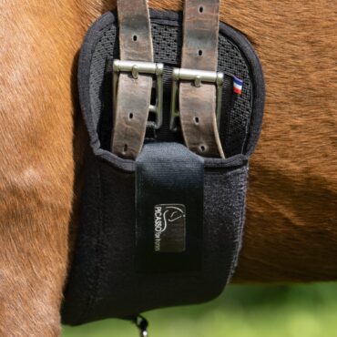 KALAH Feststellbarer Gurt