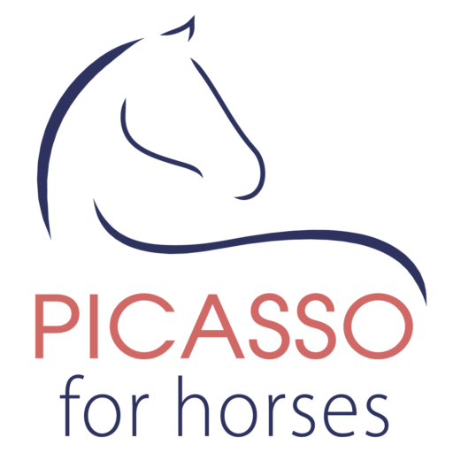 SANGLE KALAH Élastique - Picasso For Horses