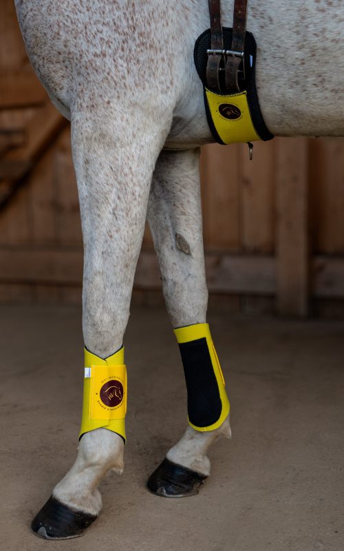 Picassoforhorses_protection_Ounsia_personnalisée_02